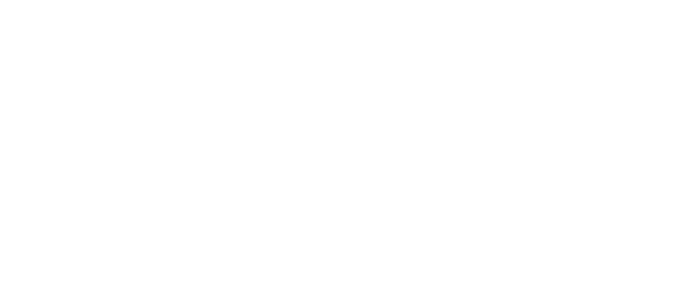 Payload Logo